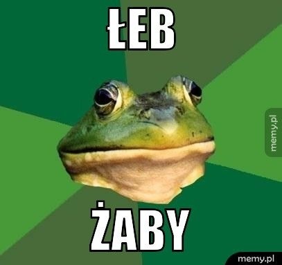 Najśmieszniejsze memy o żabach w Dniu Żaby, który przypada...