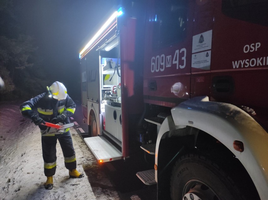 Strażacy w Odrzywole usuwali drzewa, które mogły spaść na drogę krajową