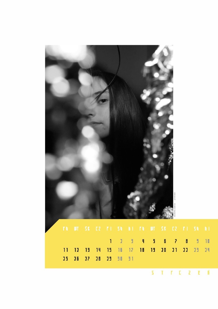 Kalendarz jest autorskim pomysłem młodych fotografów z ZSI,...