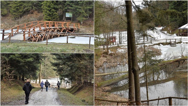 W Tuchowskim Lesie zima jeszcze nie powiedziała ostatniego słowa, ale to nie zniechęca wielu osób do wybrania się na spacer do malowniczo położonego  zbiornika w środku lasu