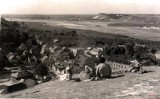 Miasto trójkąta turystycznego woj. lubelskiego. Zobacz wspaniałe panoramy Kazimierza Dolnego nad Wisłą z XX wieku