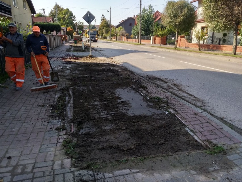 Drzewa ozdobne będą rosły przy ulicy podporucznika Sokoła w Skalbmierzu. Zasadzone zostaną klony czerwone i zielone [ZDJĘCIA] 