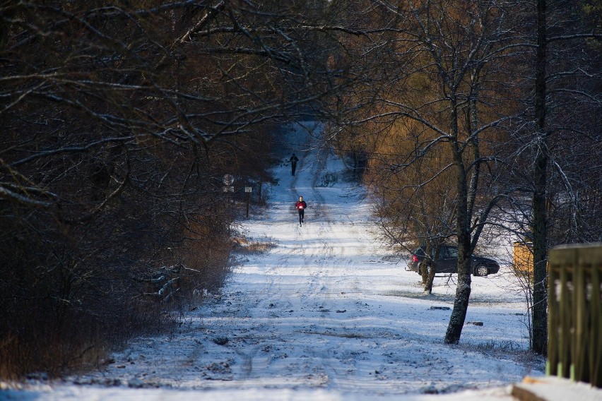 Ultra Śledź - Ultramaraton w Puszczy Knyszyńskiej