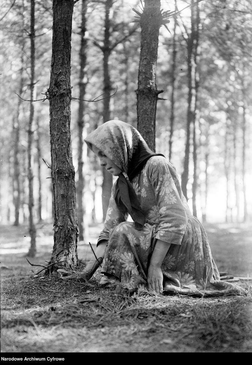 1932

Dziewczynka zbiera grzyby w lesie w okolicy Liszek.