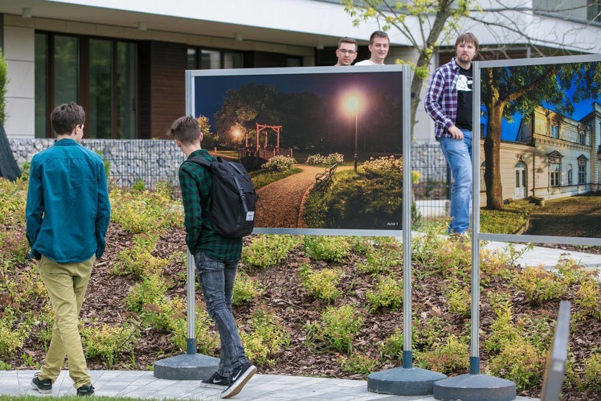 Dębniki w obiektywie aparatu fotograficznego [ZDJĘCIA]