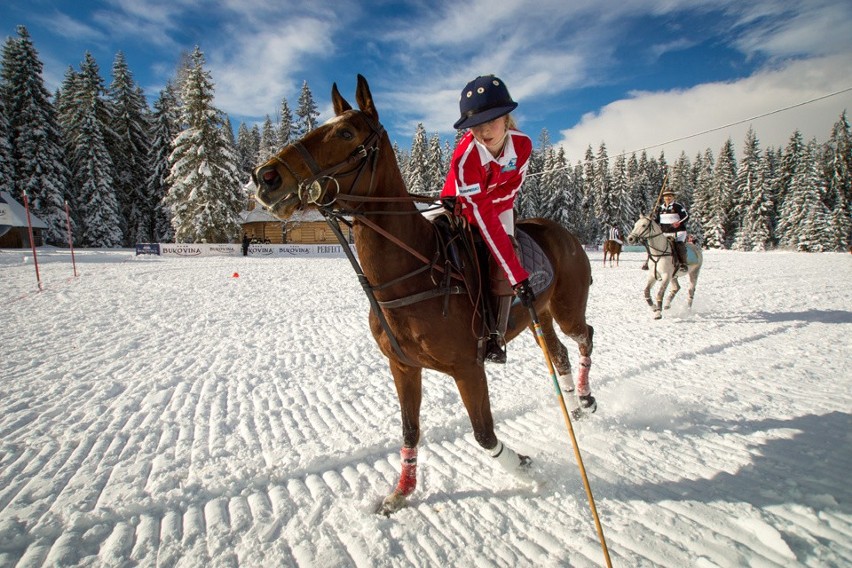 Bukovina Polo Snow Masters, czyli widowiskowe rozgrywki na śniegu [ZDJĘCIA]