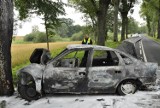 Auto uderzyło w drzewo i stanęło w płomieniach (zdjęcia)