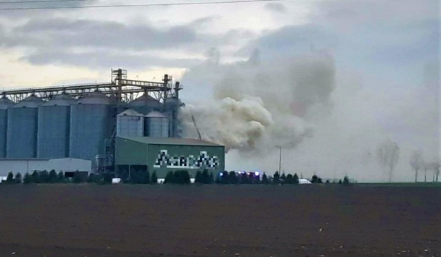 Przyczyny pojawienia się ognia będą ustalane po zakończeniu działań strażaków.