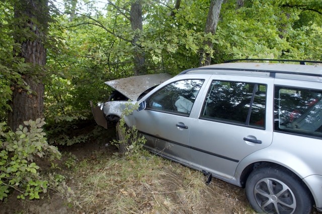 Niedostosowanie prędkości do panujących warunków, było powodem kolizji, do której doszło w poniedziałek około godz. 13 w okolicach Kępic. 19-latka wypadła z drogi i uderzyła w drzewo.