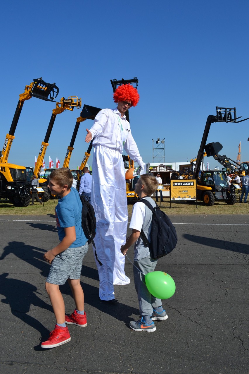 AGRO SHOW Bednary 2015. Wystawa wciąż najważniejsza w Polsce [zdjęcia]