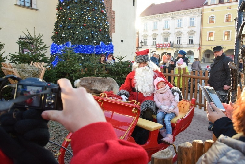  Święty Mikołaj i renifery robią furorę na Rynku w Tarnowie. Dzieci są zachwycone