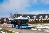 Gdynia będzie testować elektryczny midibus, choć nie ma planów jego zakupu