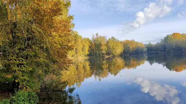 Park Leśna w Sosnowcu-Kazimierzu Górniczym wyjątkowo prezentuje się jesieniąZobacz kolejne zdjęcia/plansze. Przesuwaj zdjęcia w prawo naciśnij strzałkę lub przycisk NASTĘPNE