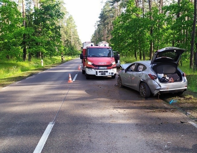 Zwierzęta na podlaskich drogach. Osobówka zderzyła się z łosiem na DK 65. Na tej drodze często dochodzi do migracji zwierząt [ZDJĘCIA]