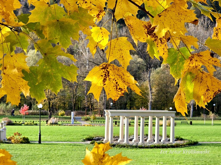 Jesień w popularnych ogrodach w Muszynie. O tej atrakcji jest głośno w całym kraju. Uzdrowisko ma wiele do zaoferowania 