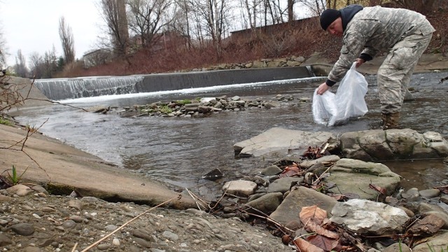 Bielscy wędkarze nie tylko sprzątają koryto rzeki, ale także zarybiają Białą. Niedawno wpuścili do niej 2,6 tys. sztuk pstrąga