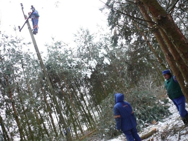 Energetycy naprawiają pozrywane linie w gminie Sobków.