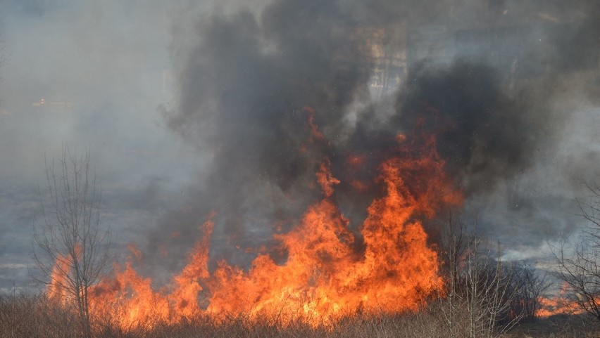 Trwa pożar trwa w Sosnowcu