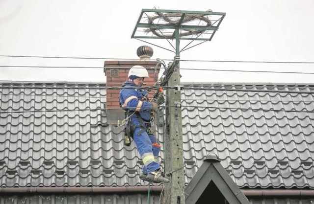 Platforma ma zabezpieczyć ptaki i sieć energetyczną