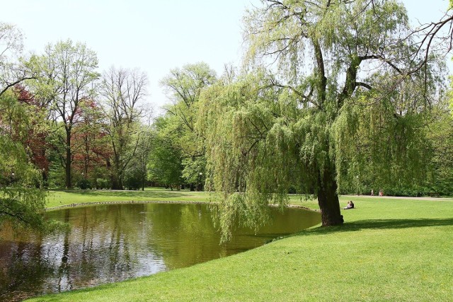 Park Źródliska będzie remontowany przez dwa lata