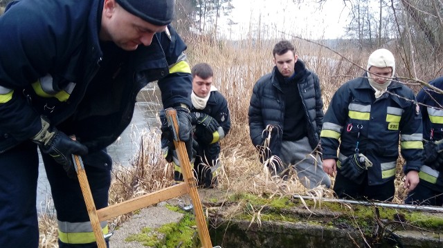 Strażacy i policjanci sprawdzali nawet te miejsca, które przeszukiwane były już wcześniej