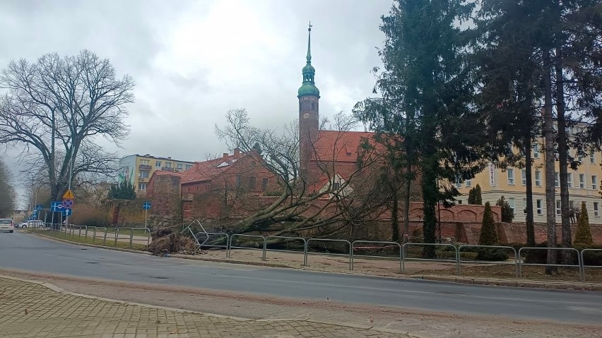 Interwencje strażaków w regionie słupskim. Silny wiatr nie sieje takich zniszczeń jak w weekend