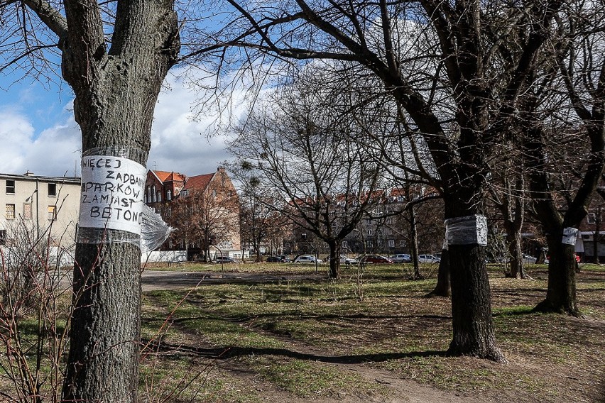 Mieszkańcy Dolnego Miasta obawiają się wycinki drzew