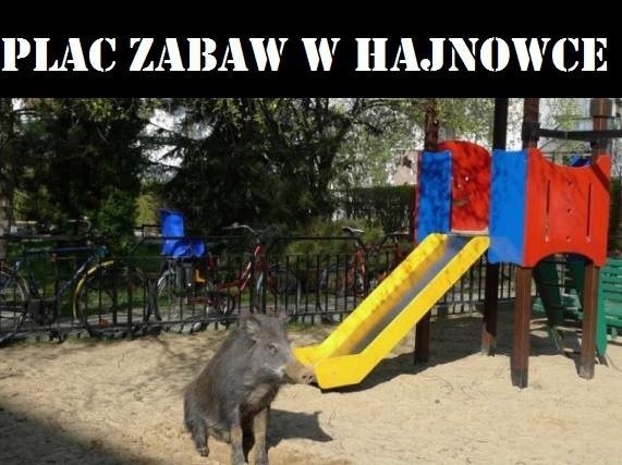 Nienormalny Białystok to fanpejdż serwujący codziennie memy...