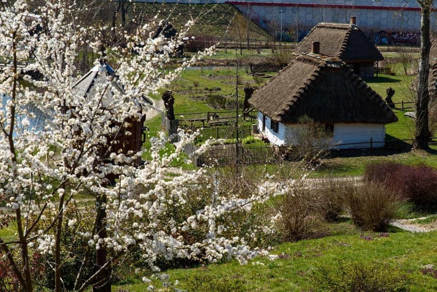 Muzeum Wsi Lubelskiej otwarte. Jakie obowiązują ograniczenia?