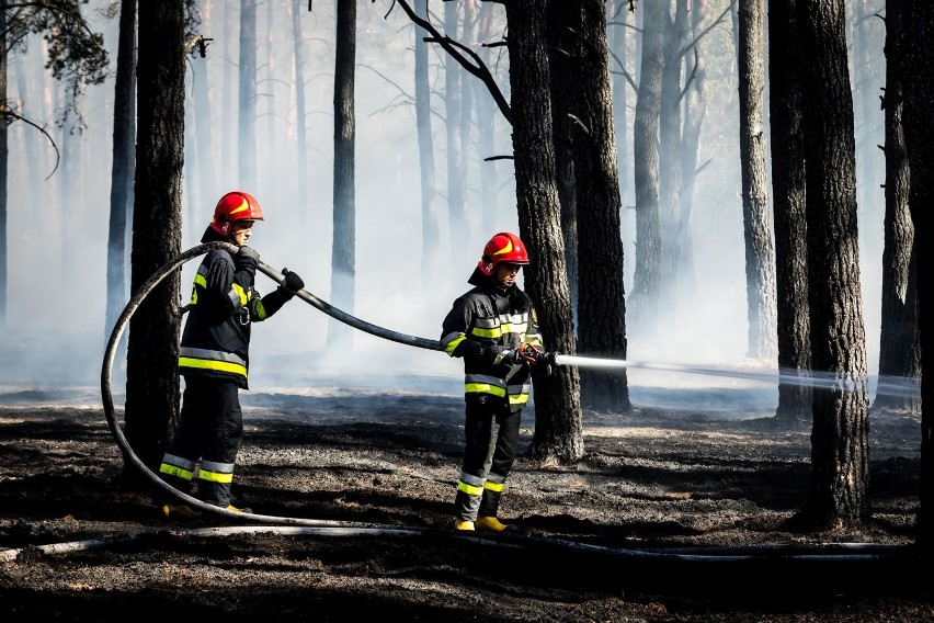 Portal strazacki.pl opublikował statystyki, dotyczące m.in....