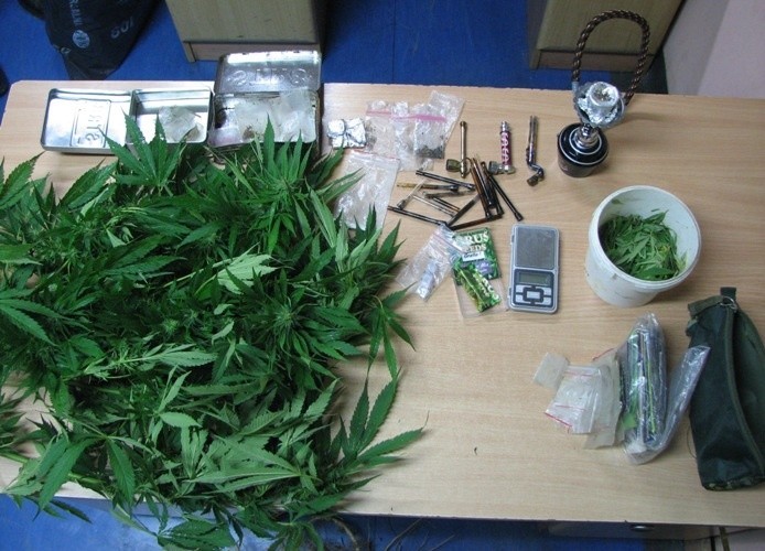Narkotykowe zatrzymanie w Opatowie. 17-latka zdradziło nerwowe zachowanie