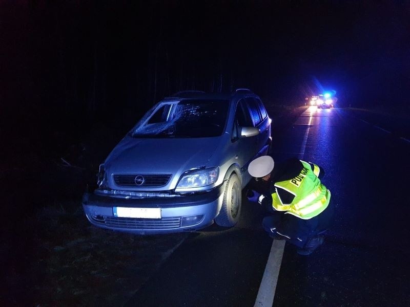 Śmiertelne potrącenie na DW 22. Auto z dużą siłą uderzyło w...