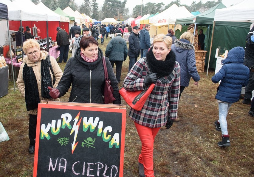 Czytaj koniecznie: Dojazd na gęsinę do Przysieka -...