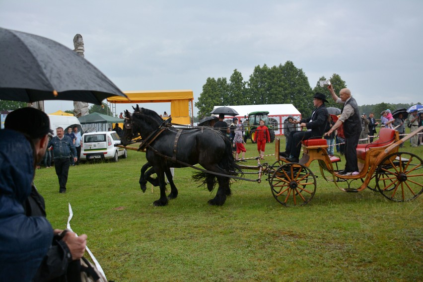 Dzień Konia na Podlasiu już w najbliższą niedzielę. Będą konkursy w powożeniu i pokazy jeździeckie