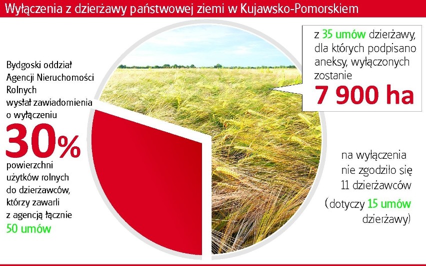 Rolnicy oddadzą grunty i będą zwalniać