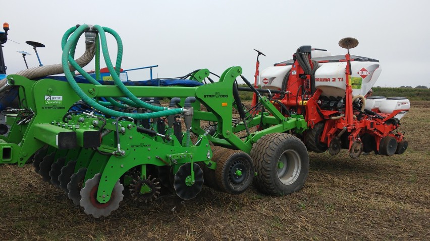 Pokazali jak posiać rzepak w technologii strip till [zdjęcia, wideo]