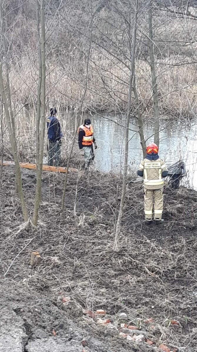 Dwa psy były uwięzione na mokradłach nad rzeką Widawą.