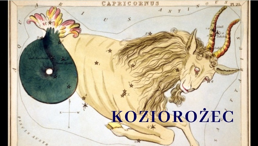 Koziorożec to stały znak zodiaku, który chce uchodzić za...