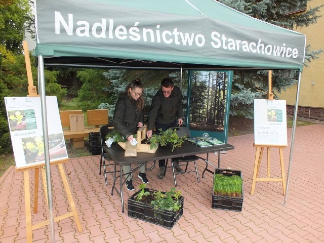 W Nadleśnictwie Starachowice przez dwa dni akcji rozdano około 300 sadzonek dęba i sosny