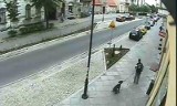 Torunianie fotografują właścicieli psów brudzących chodniki