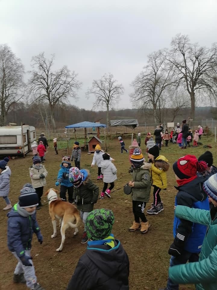 Dzieci mają wielkie serca. Odwiedziły azyl dla zwierząt w...