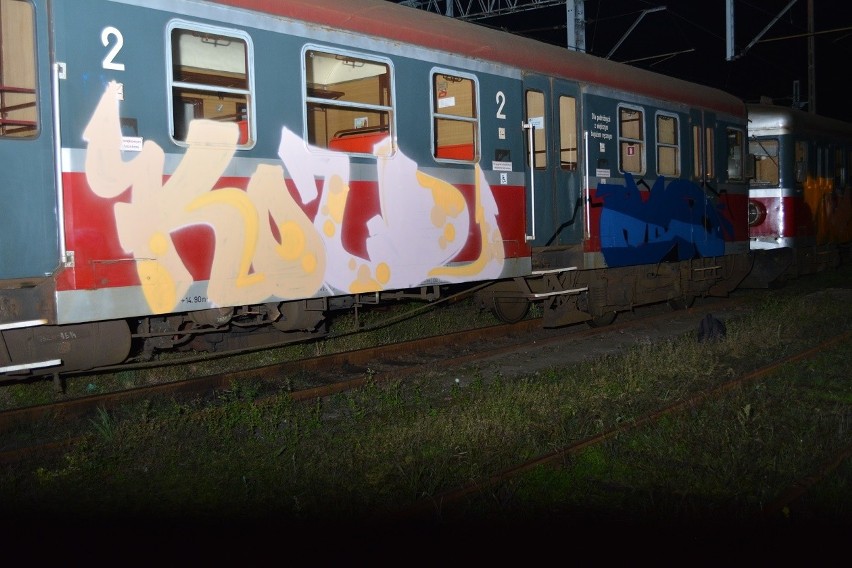 Obcokrajowcy ukarani za graffiti. Niszczyli pociągi [zdjęcia]