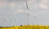Fotowoltaika i elektrownie wiatrowe będą wszędzie? Cały świat inwestuje w OZE przez kryzys energetyczny