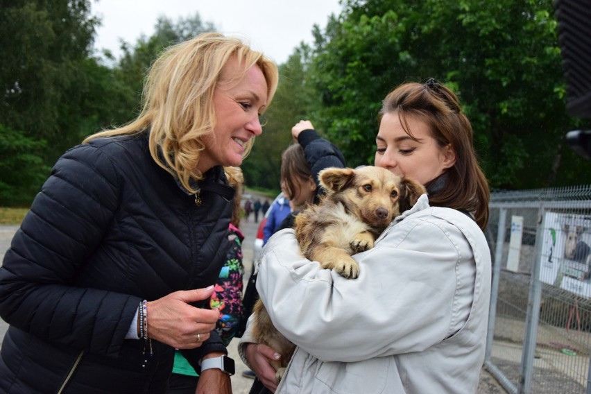 Dzień otwarty Schroniska u Machowiaków w Tarnobrzegu: Psia radość, odwiedzający nie zawiedli [ZDJĘCIA]
