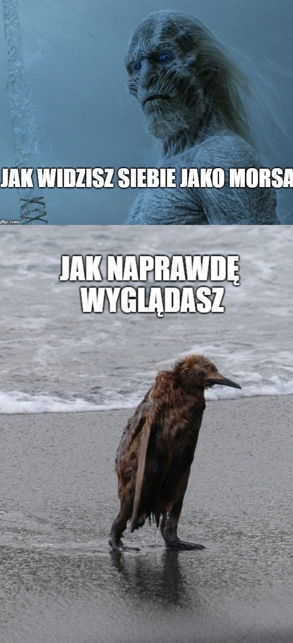 Morsowanie na wesoło - w internecie starcie zwolenników i...