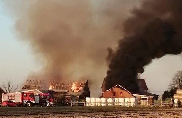 Pożar w gospodarstwie rolnym w Łagiewnikach Wielkich. Spłonęły zwierzęta i niemal cały sprzęt rolniczyZobacz kolejne zdjęcia. Przesuwaj zdjęcia w prawo - naciśnij strzałkę lub przycisk NASTĘPNE