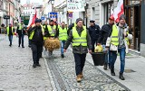 Co dalej z protestami rolników w Kujawsko-Pomorskiem? Czekają na zaproszenia od posłów, przywożą obornik i gnojowicę