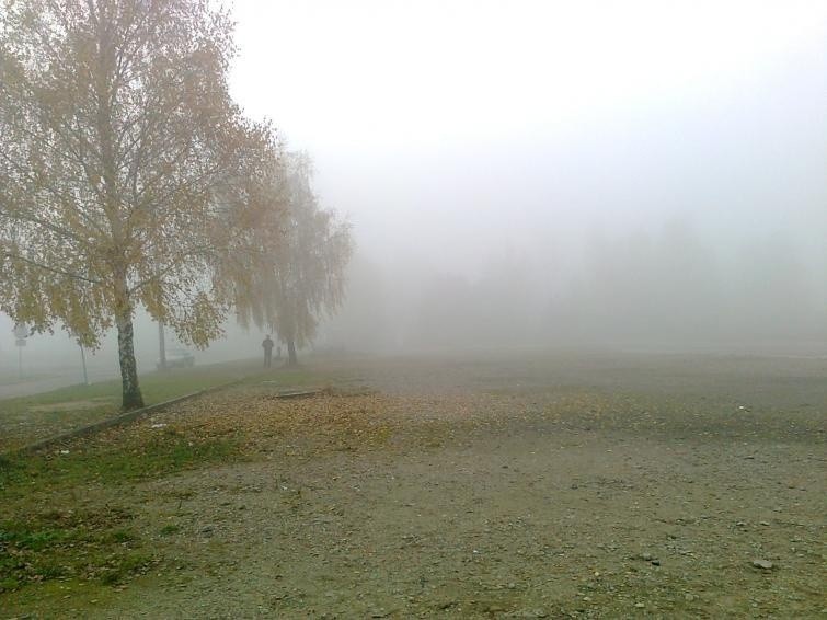 Giełda samochodowa w Gorzowie Wlkp. (02.11) - ceny i zdjęcia...