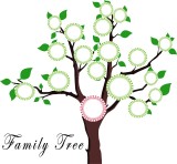 Drzewo genealogiczne - WZÓR. Jak narysować drzewo genealogiczne rodziny? 