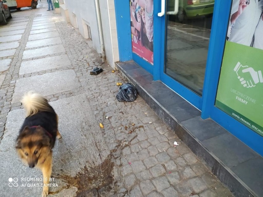 Interwencja. Brzydko pachnący skandal w centrum Szczecina. Mieszkaniec kamienicy wyrzuca nieczystości w workach... przez okno